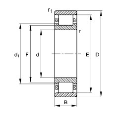 Bantalan N221-E-M1 FAG