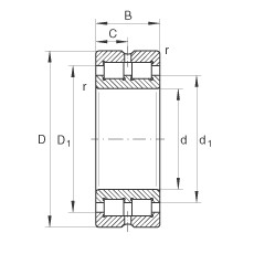 Bantalan SL014938 INA