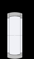 Bantalan RIS 205 SKF