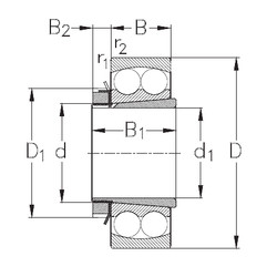 Bantalan 2219-K+H319 NKE