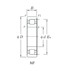 Bantalan NF305 KOYO