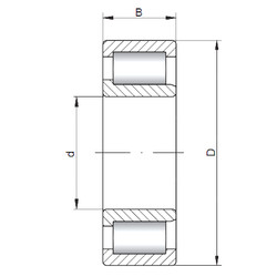 Bantalan NJF2308 V ISO