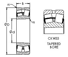 Bantalan 22310CYKW33 AST