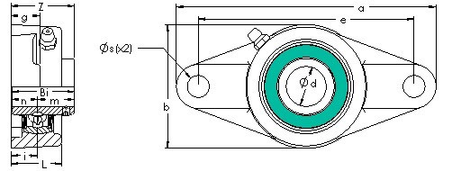 Bantalan UCFL 218 AST