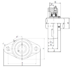 Bantalan UCFL305 ISO