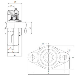 Bantalan UKFL217 ISO