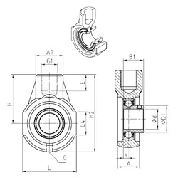 Bantalan USEHE207 SNR