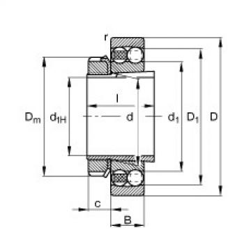 Bantalan 1209-K-TVH-C3 + H209 FAG