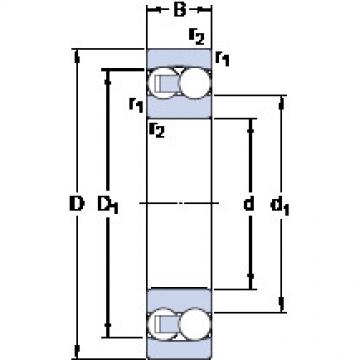 Bantalan 2218 SKF