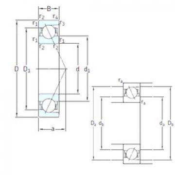 Bantalan E 250 /NS 7CE1 SNFA