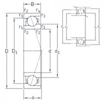 Bantalan VEB 65 /NS 7CE3 SNFA