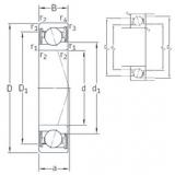 Bantalan VEB 35 /S/NS 7CE3 SNFA