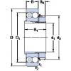 Bantalan 1209 EKTN9 + H 209 SKF