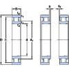 Bantalan N 1021 KTNHA/HC5SP SKF