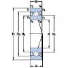 Bantalan S7006 CB/P4A SKF #1 small image