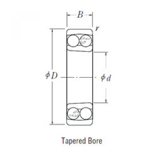 Bantalan 1205 K NSK #1 image