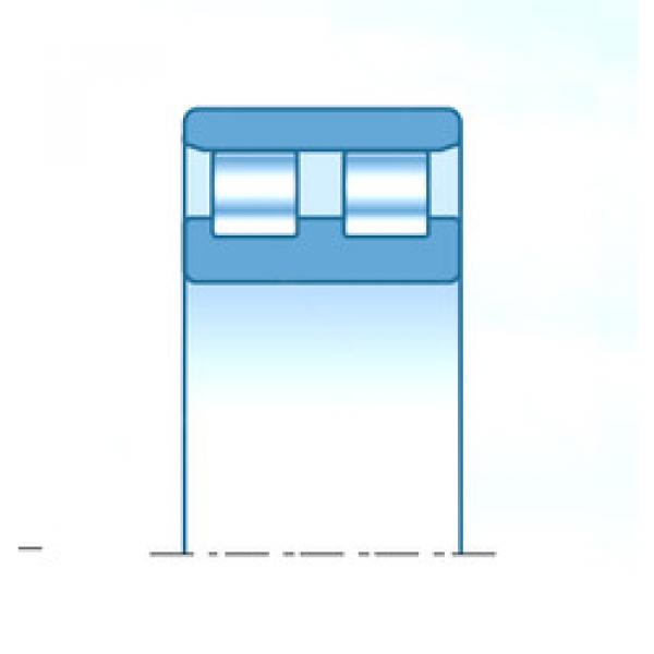 Bantalan NN3056KWD1C1NAP5 NTN #1 image