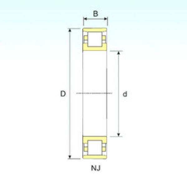 Bantalan N 205 ISB #1 image