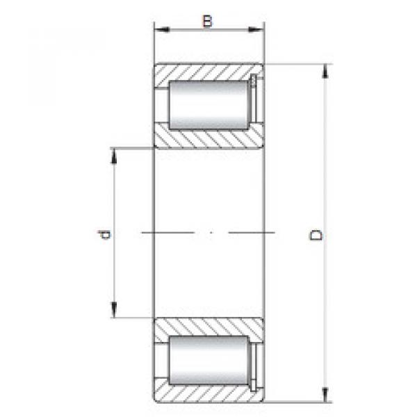 Bantalan NCF2204 V CX #1 image